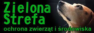 Zielona strefa