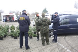 policjant, strażnik leśny i strażnik miejski legitymują sprzedawcę choinek